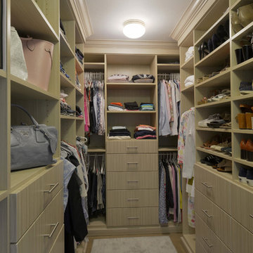 Contemporary Closet