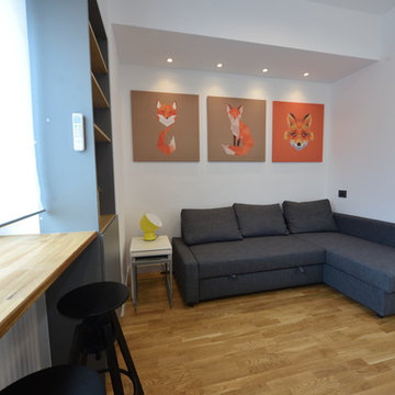 EMINESCU RENTAL FLATS