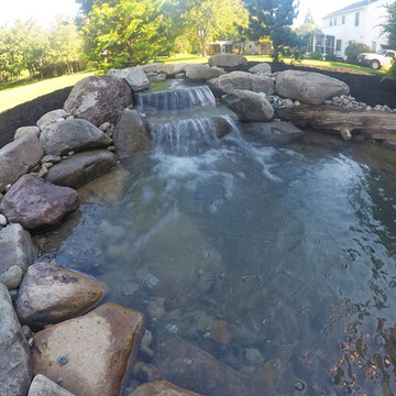 Small Backyard Pond