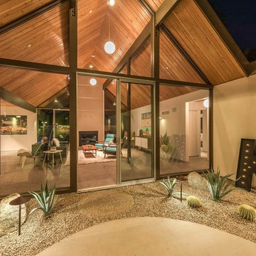Desert Eichler #2