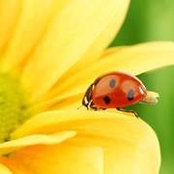 Emmily Lutton's photo