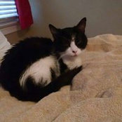 Gabrielle Slawinski's photo