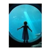 Jason Coakwell's photo