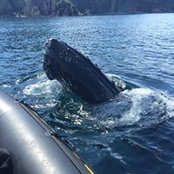Lisa Rundle's photo