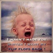 Tracey Amy's photo