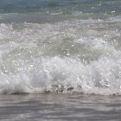Zee DeGregory's photo