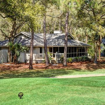 Conifer- Kiawah