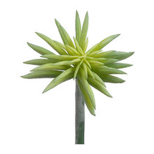 Artificial Plants