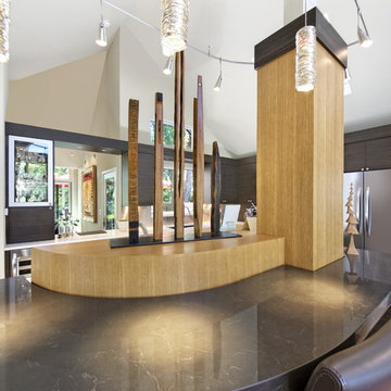 Mid-Century Modern Remodel