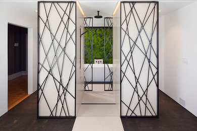 Designer showcase house shower doors