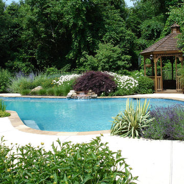 Japanese Maple, Shasta Daisies, Russian Sage, Yucca