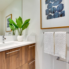 Powder Room and/or casita