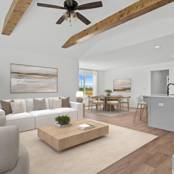 Living Areas