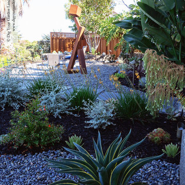 Succulents,  Sculpture and Stone Replace the Lawn in San Rafael