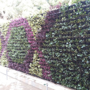 Vertical Garden in Sadashivanagar