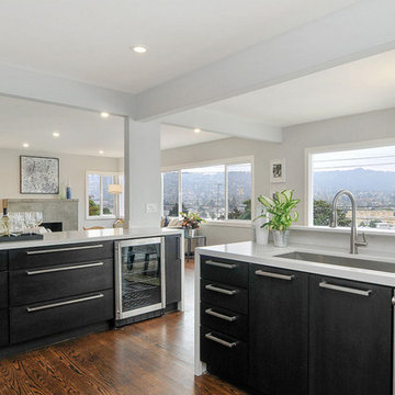 Albany Hill Contemporary Kitchen