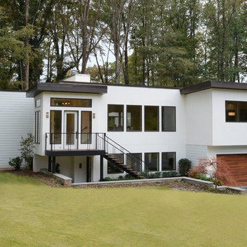 Tree Line Modern