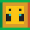 Minecraft Iconic Faces Peel & Stick Wallpaper Border