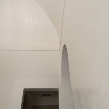 venetian plaster 2