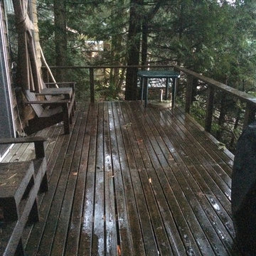 Inlaw's Harrison Lake Cabin Deck (off grid)
