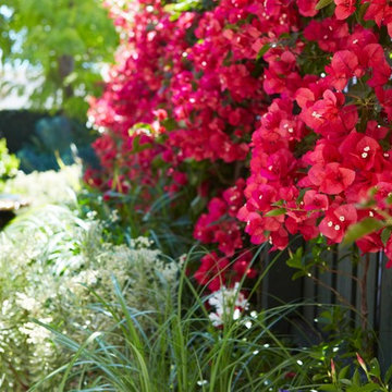 Malvern garden