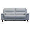Lizette Contemporary Sofa, Dark Brown Wood Finish & Dove Gray Genuine Leather