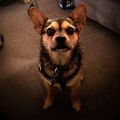 Heather Sellitti's photo