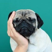 Laura Leibman's photo