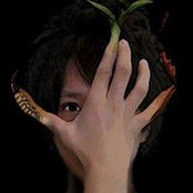 Shinsuke Miyashiro's photo