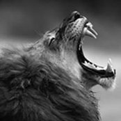 Joško Sablić's photo