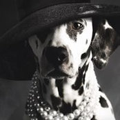Kathy Clark's photo