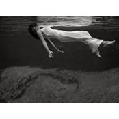 Averill Stevenson's photo
