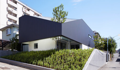 Visite Privée : Une maison avec toit-terrasse à Tokyo