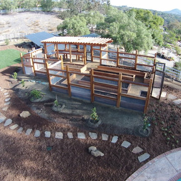 Vegetable Structure