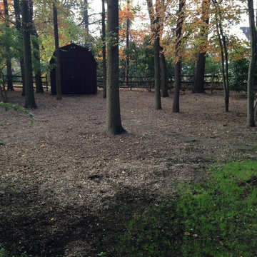 Fall Clean Up 2