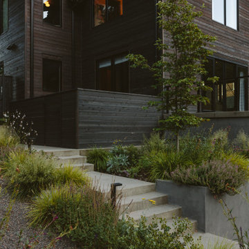 The Willamette River House