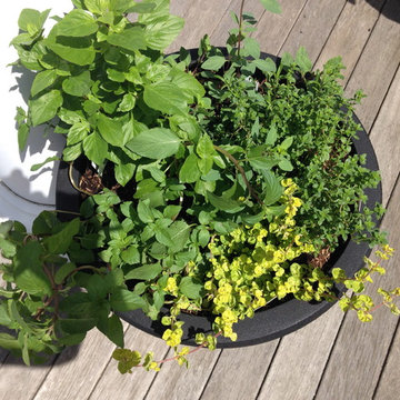 Vegetable & Herb Gardens