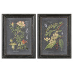 Uttermost - Uttermost "Midnight Botanicals" 2-Piece Wall Art Set, 24.63"x32.63" - Dress up a bare wall with the "Midnight Botanicals" 2-Piece Wall Art Set. These colorful floral prints are accented by wood frames that have a distressed black finish with accents of grays and taupes with a heavy taupe glaze. Each print is displayed under glass.