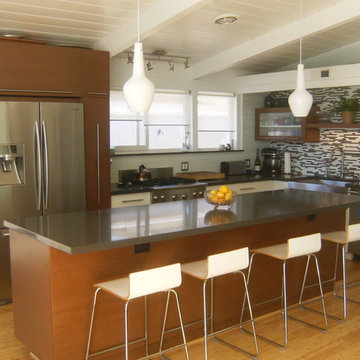 Mid Century Modern in Long Beach