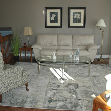 Medici area rug in transitional living room