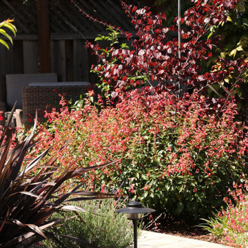 RELAXING GARDEN