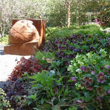 Modern Shade Garden