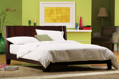Inspiration for a contemporary master bedroom in New York with green walls and medium hardwood floors.