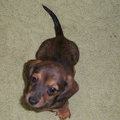 Sandi Peterson's photo