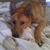 Tara McCann's photo