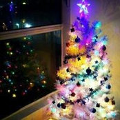 Jaehee Joo's photo