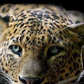 Howie Lerner's photo
