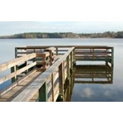 Matthew McLean's photo