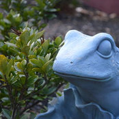 Kimberly Cecchini's photo