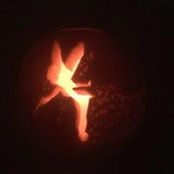 Anna Ladyman's photo